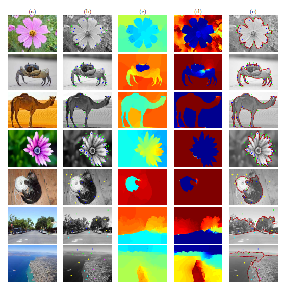 Constrained Image Segmentation